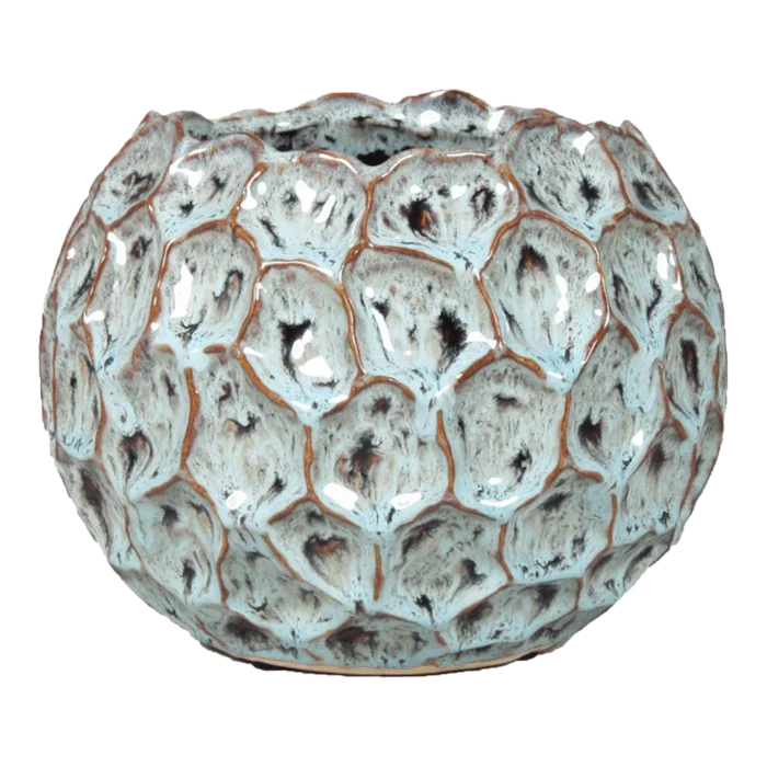 biezen-3794920