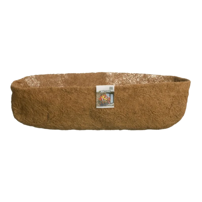 biezen-3795006
