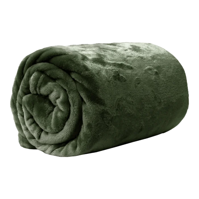 biezen-3795383
