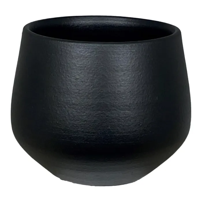 biezen-3795500