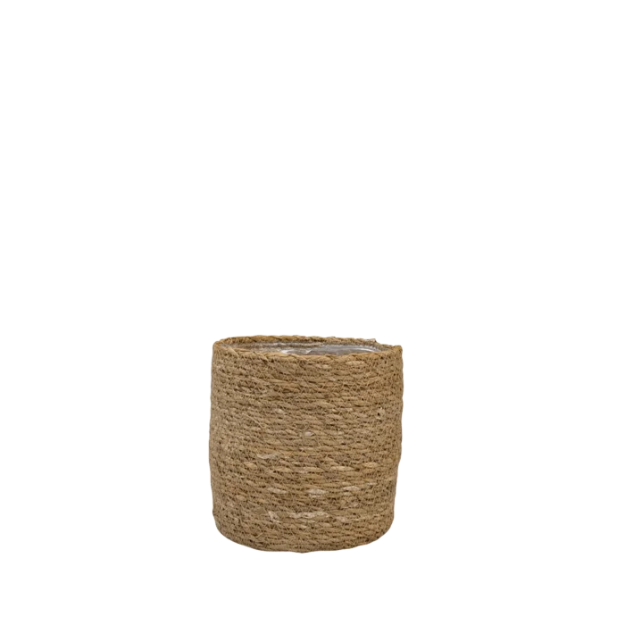 biezen-3796236