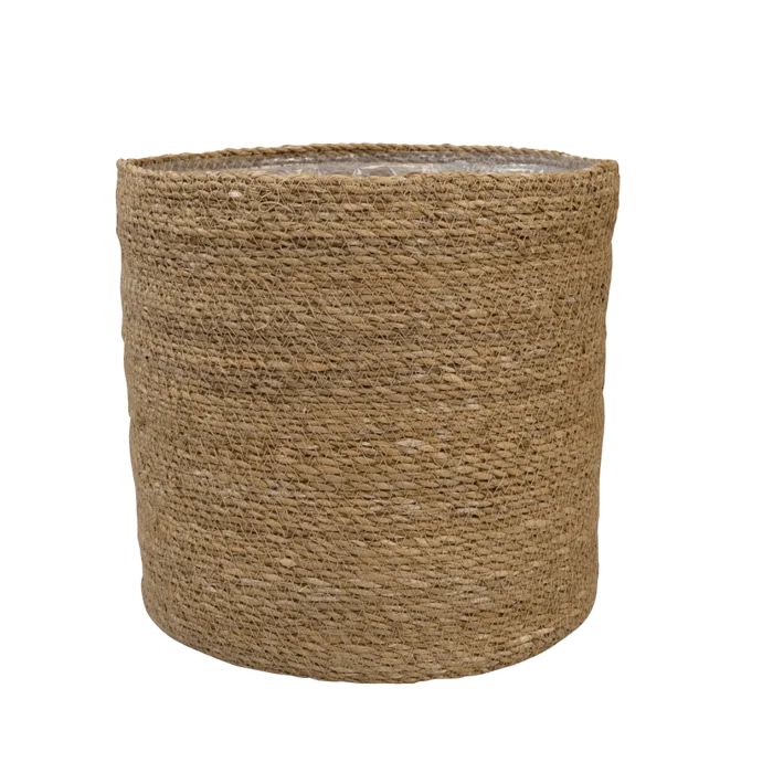 biezen-3796259