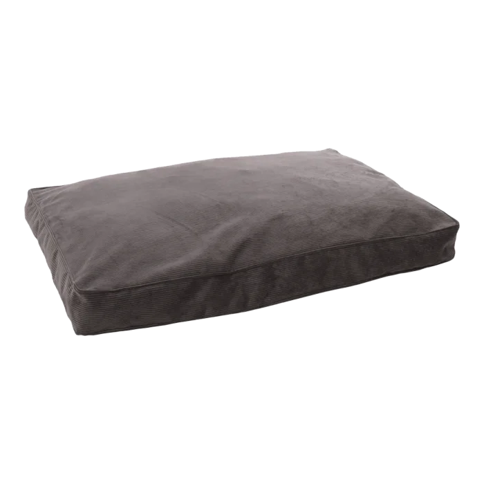 biezen-3796845