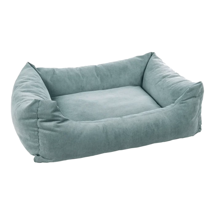 biezen-3796851