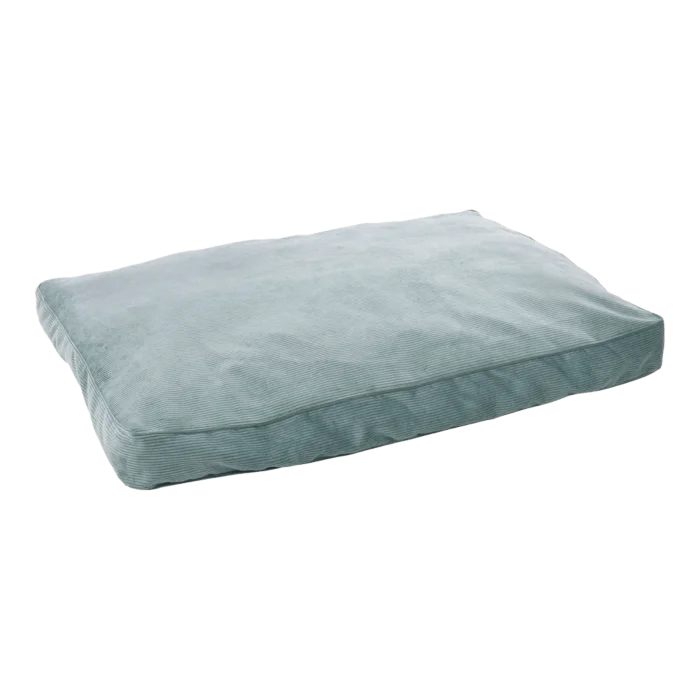 biezen-3796859