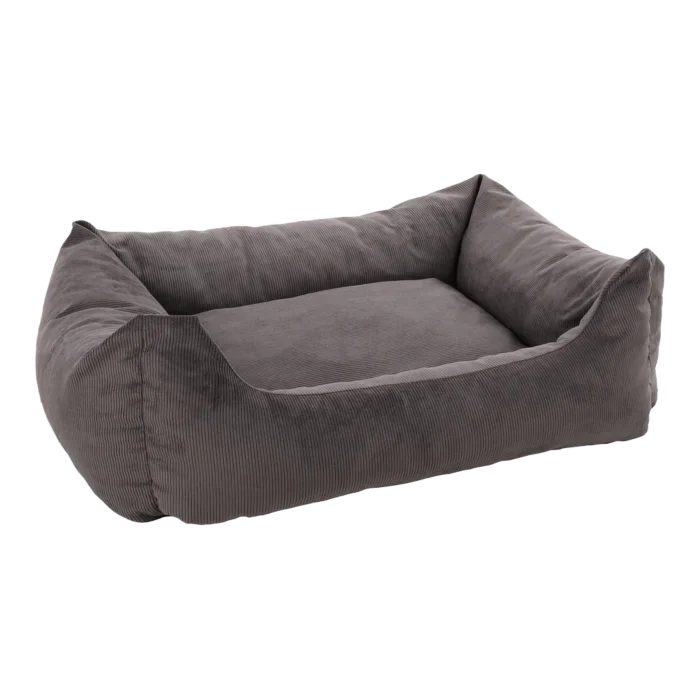 biezen-3796880