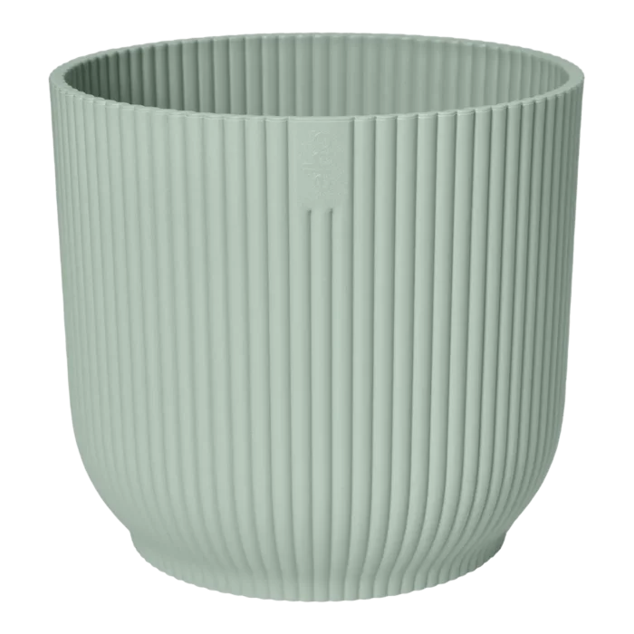 biezen-3797090