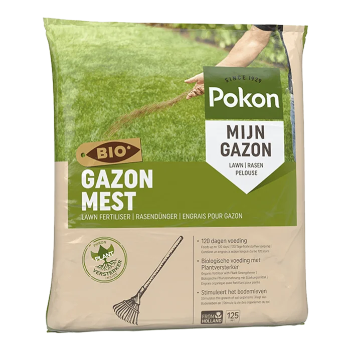 biezen-3797315