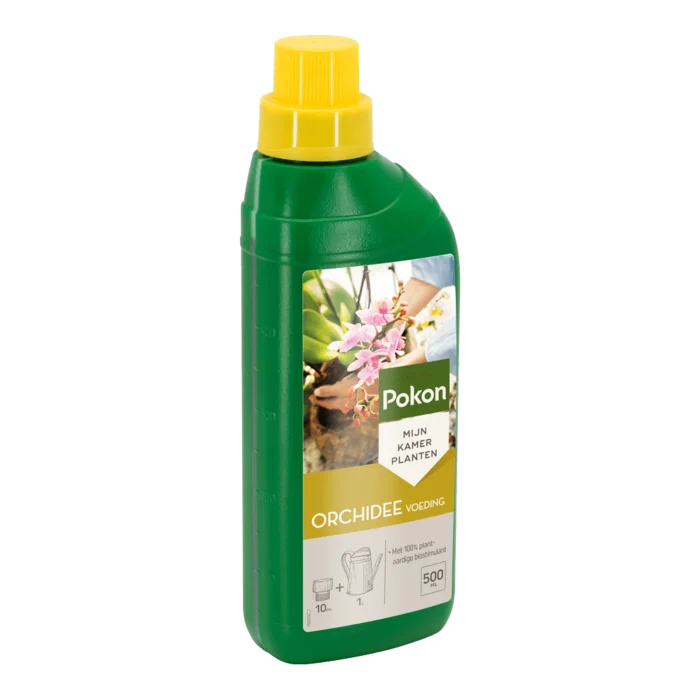 biezen-3797400