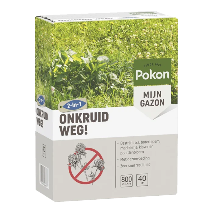 biezen-3797640