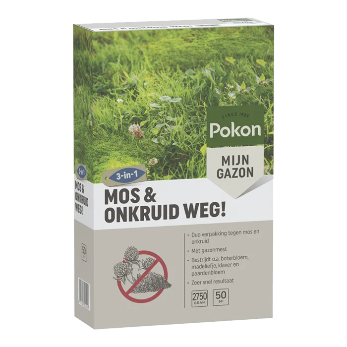 biezen-3797647