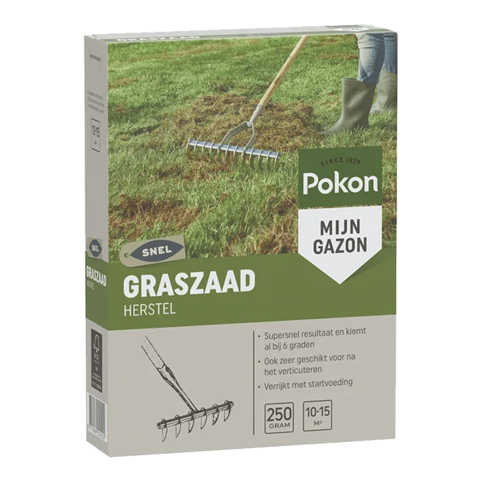 biezen-3797678