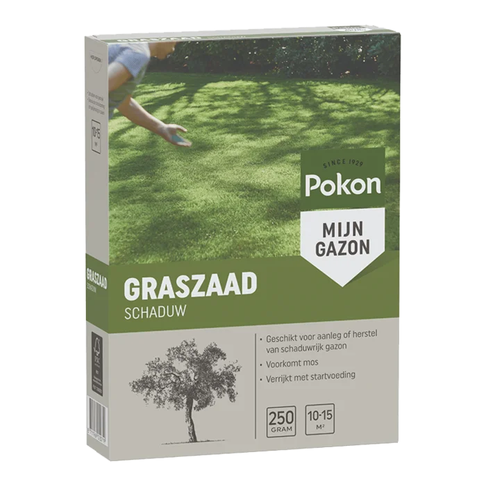 biezen-3797706