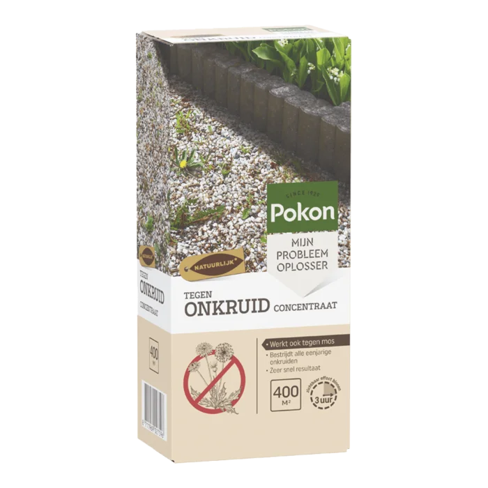 biezen-3797735