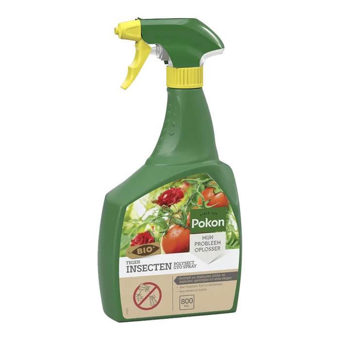 biezen-3797741