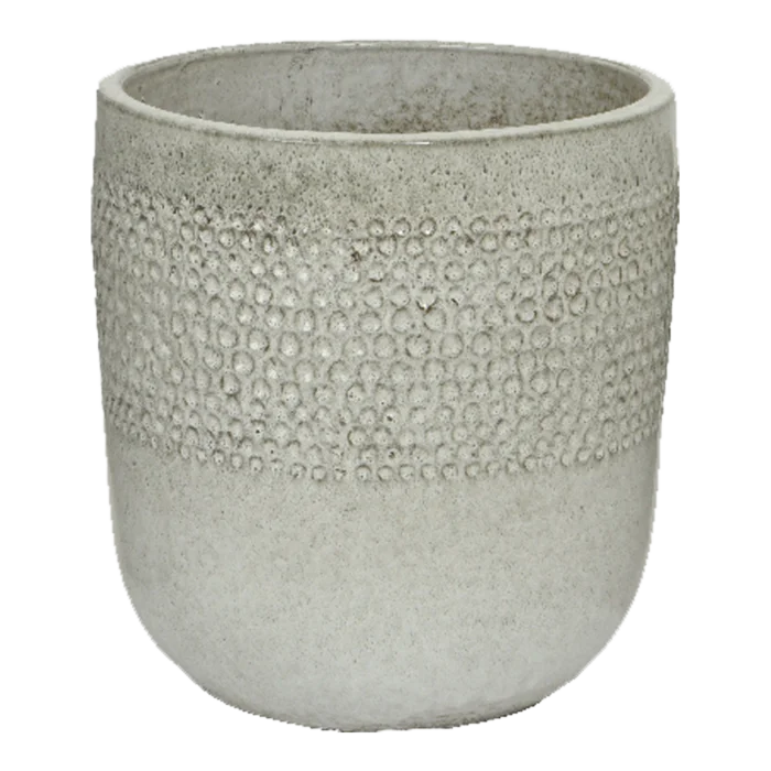 biezen-3798099