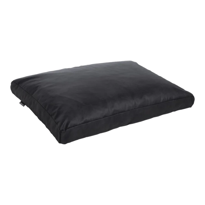 biezen-3798251