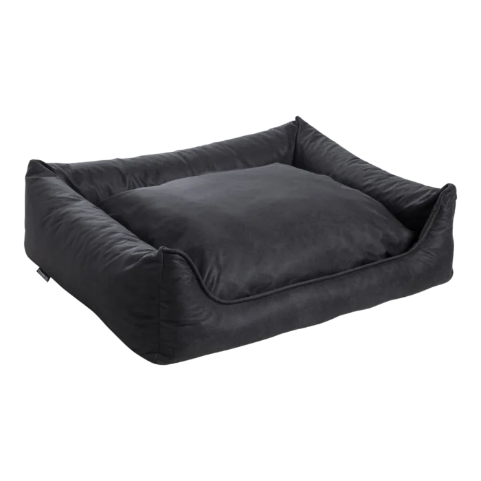 biezen-3798304