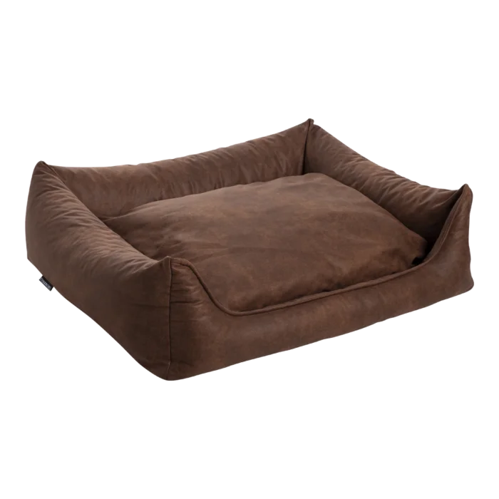 biezen-3798316