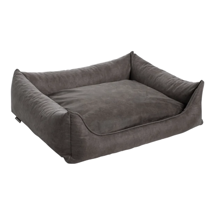 biezen-3798335