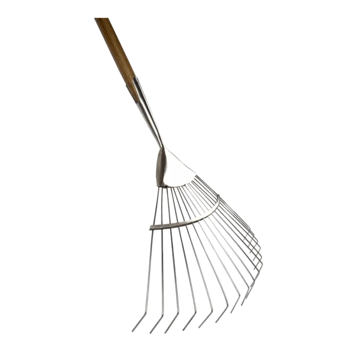 biezen-3798388
