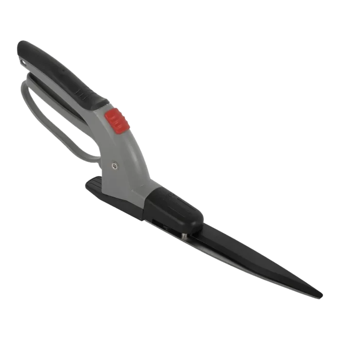 biezen-3798396