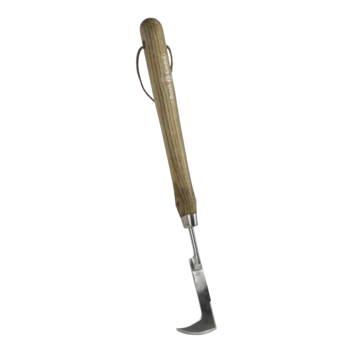 biezen-3798447