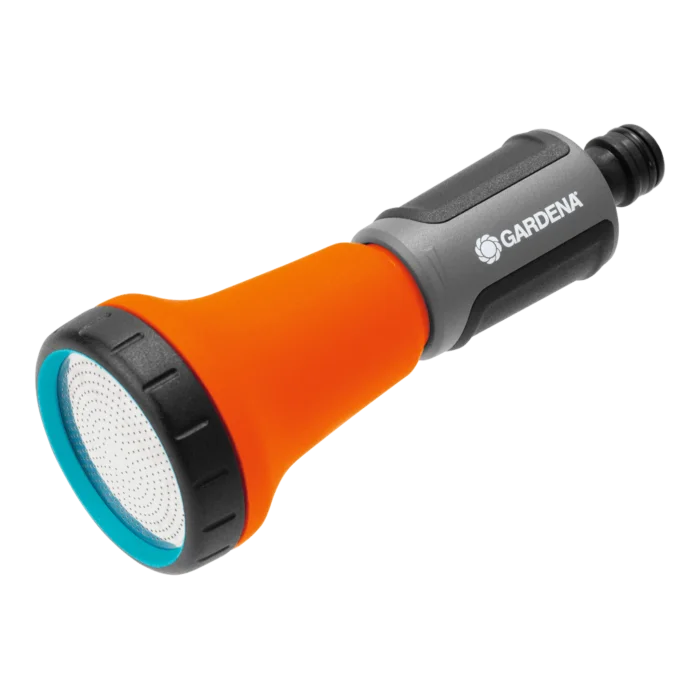 biezen-3798565
