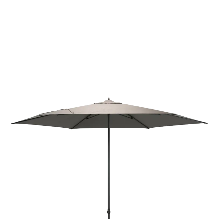biezen-3798657