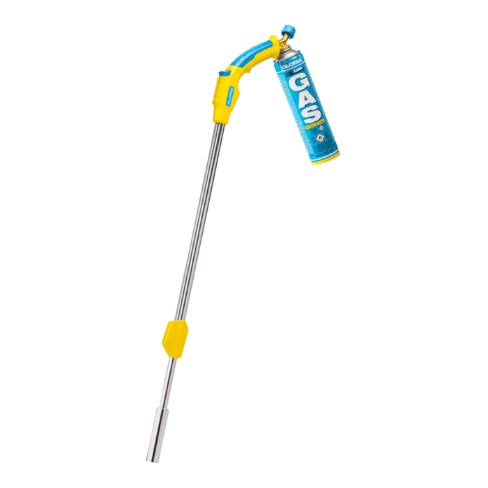 biezen-3798711