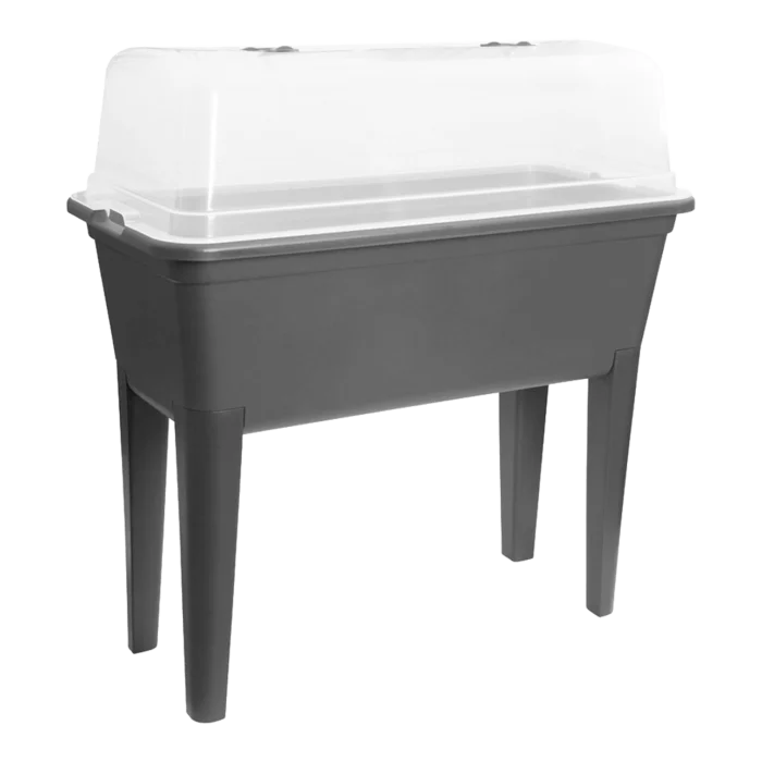 biezen-3799202
