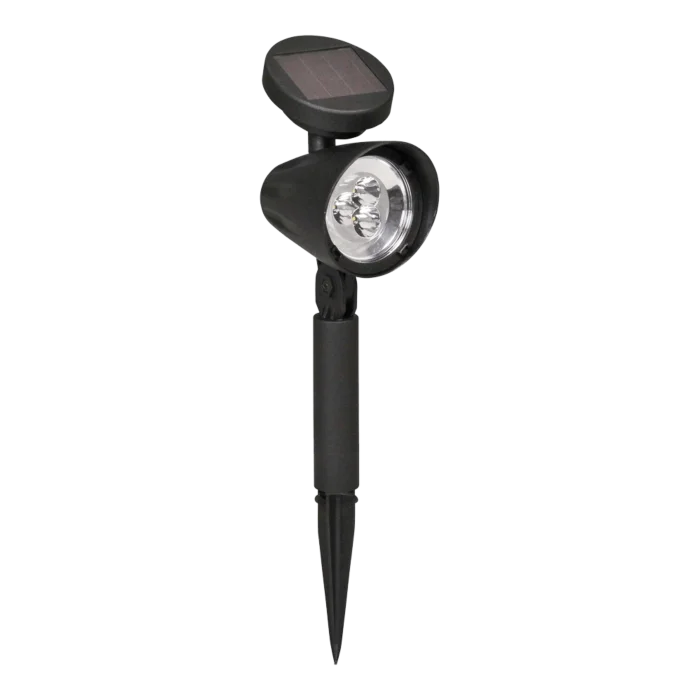 biezen-3799638