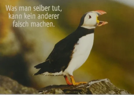 duft-und-deko-art-3509886