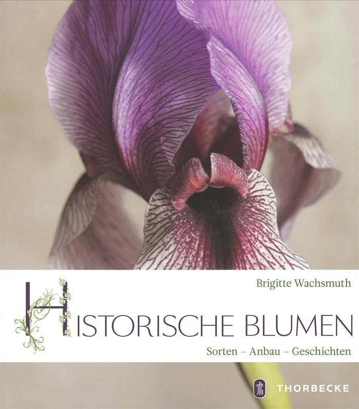 fischers-lagerhaus-3517143