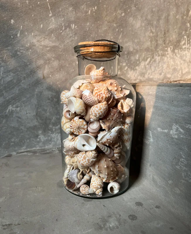 fischers-lagerhaus-3527813