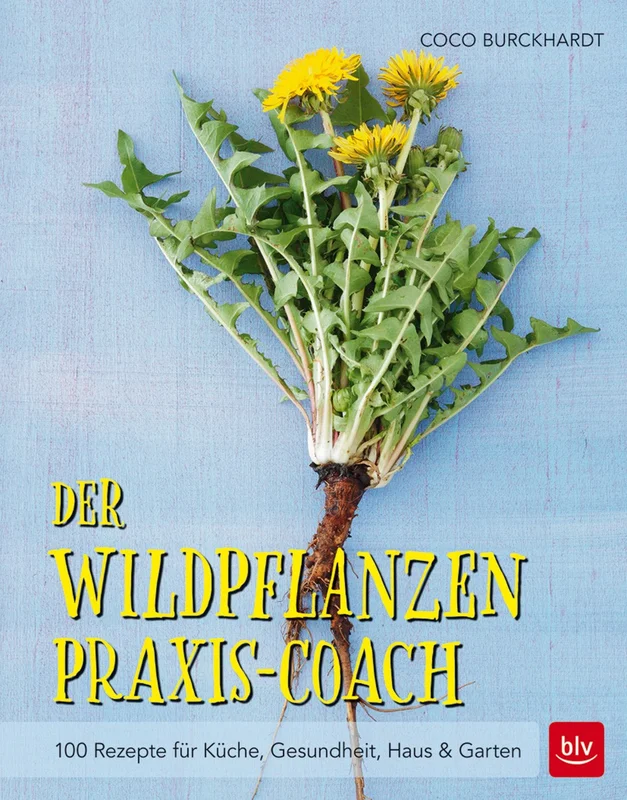 fischers-lagerhaus-3528087