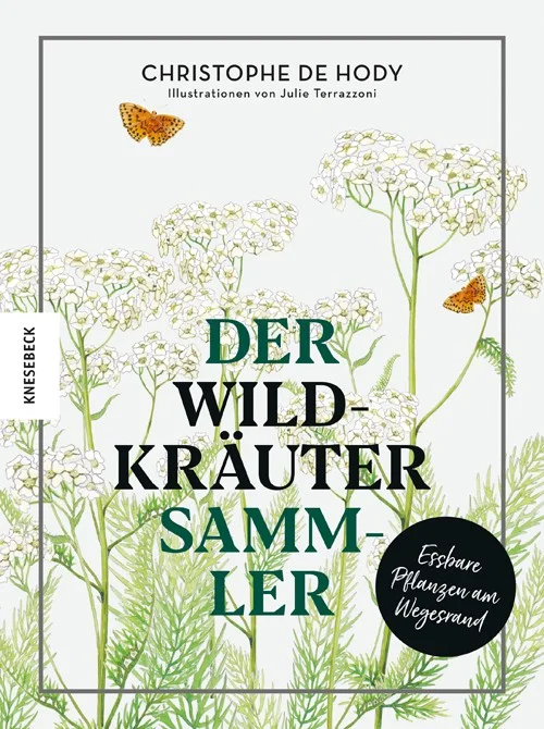 fischers-lagerhaus-3532612