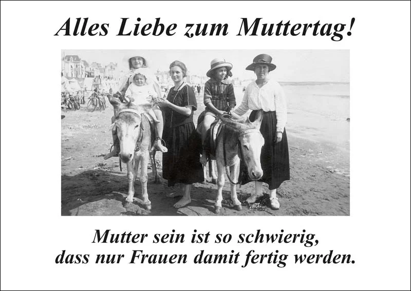 fischers-lagerhaus-3539367
