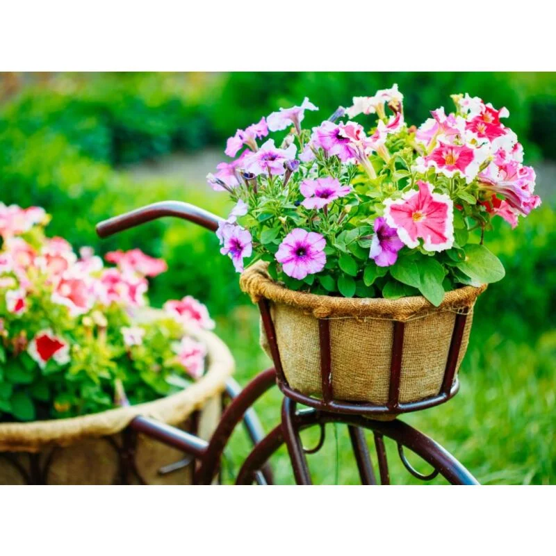 gartencenterleurs-3502249