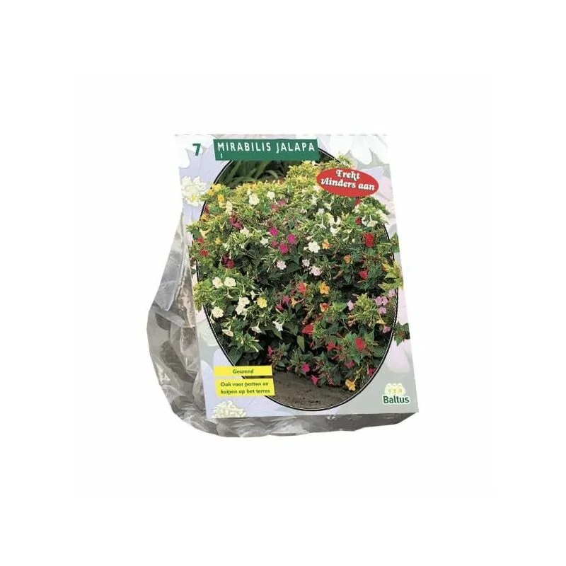 gartencenterleurs-3516785