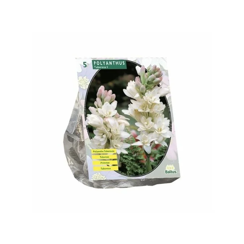 gartencenterleurs-3516816