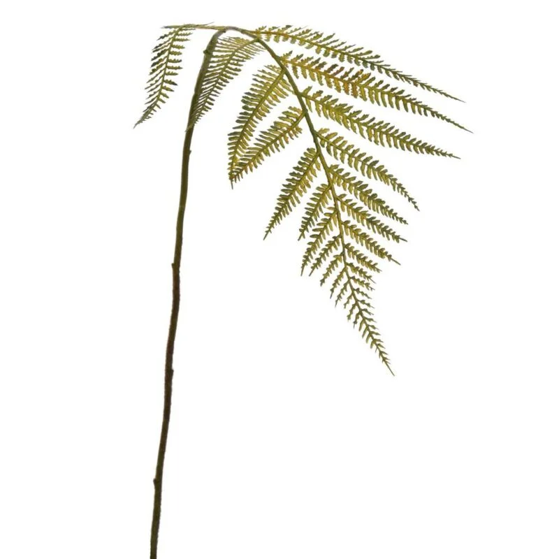 gartencenterleurs-3534847
