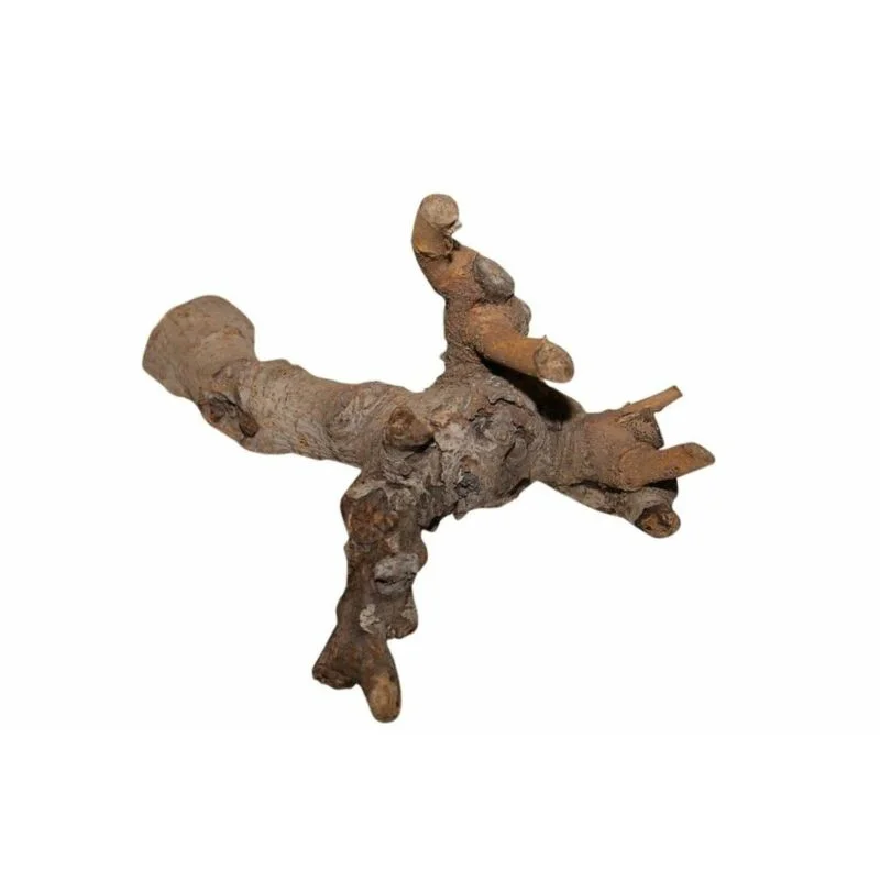 gartencenterleurs-3540755