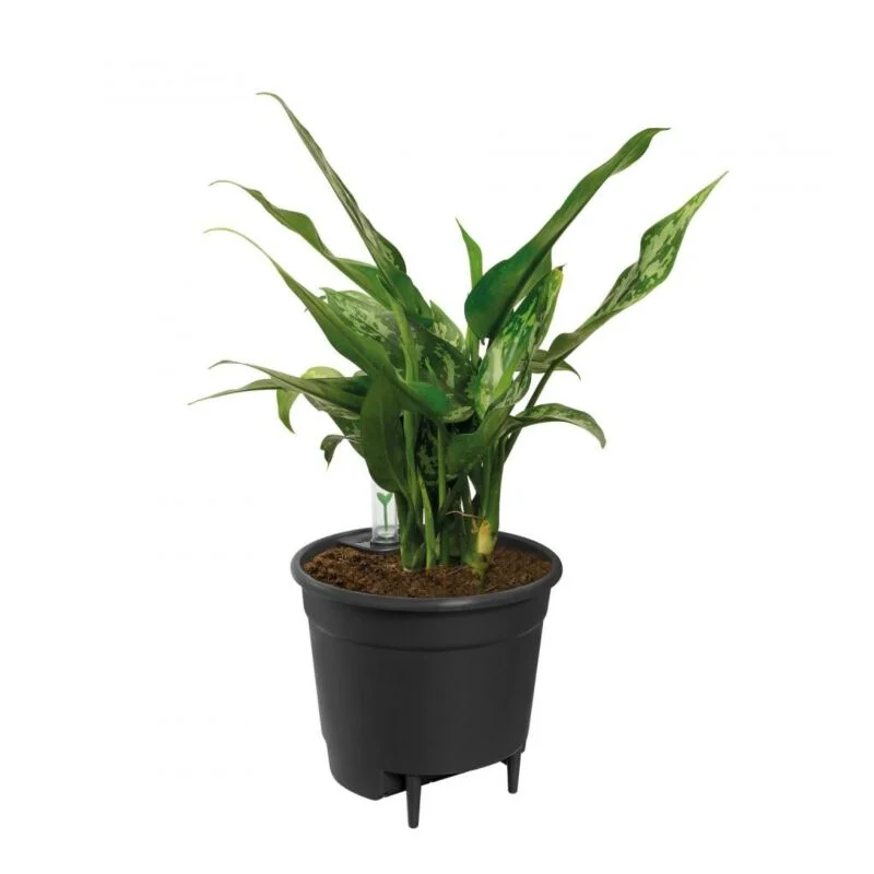 gartencenterleurs-3543144