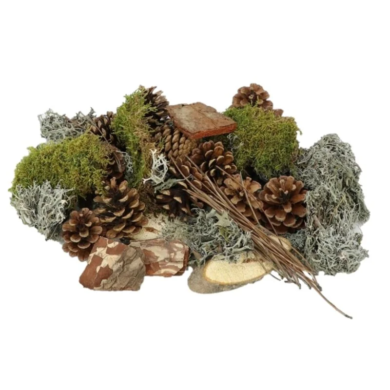 gartencenterleurs-3543556