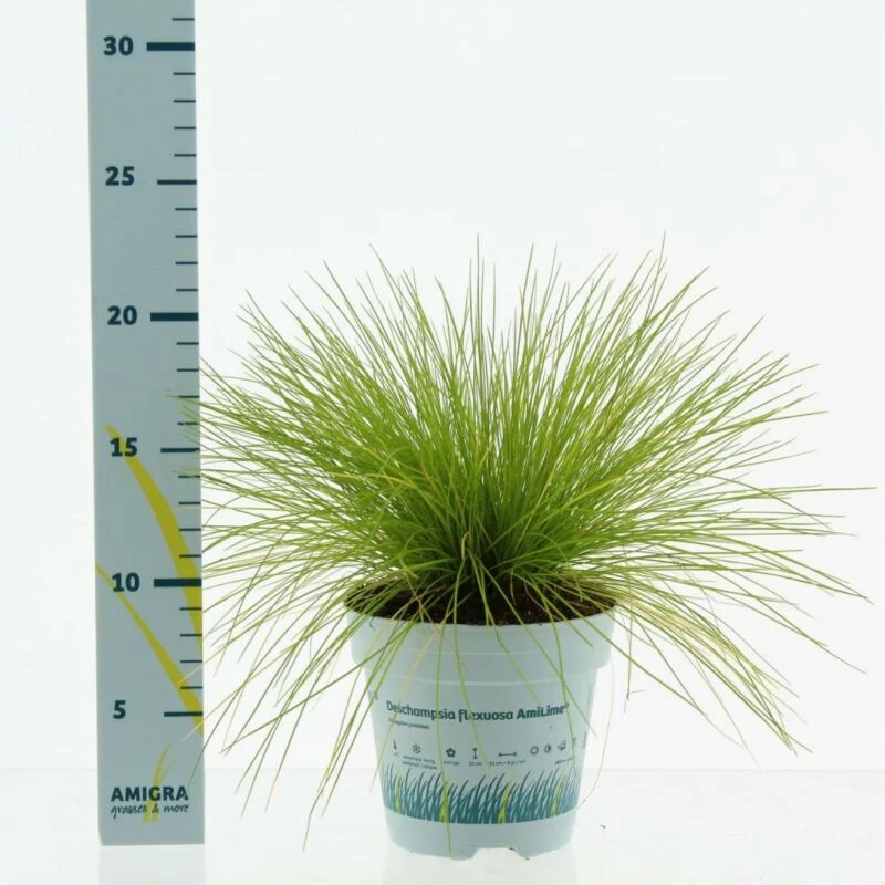 gartencenterleurs-3552614