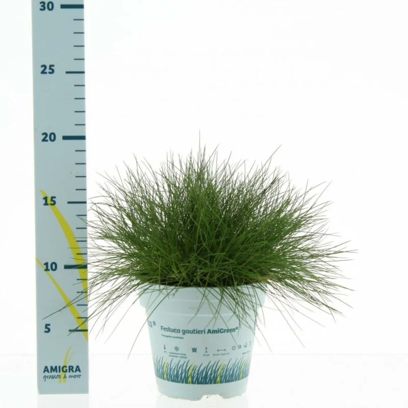 gartencenterleurs-3552653