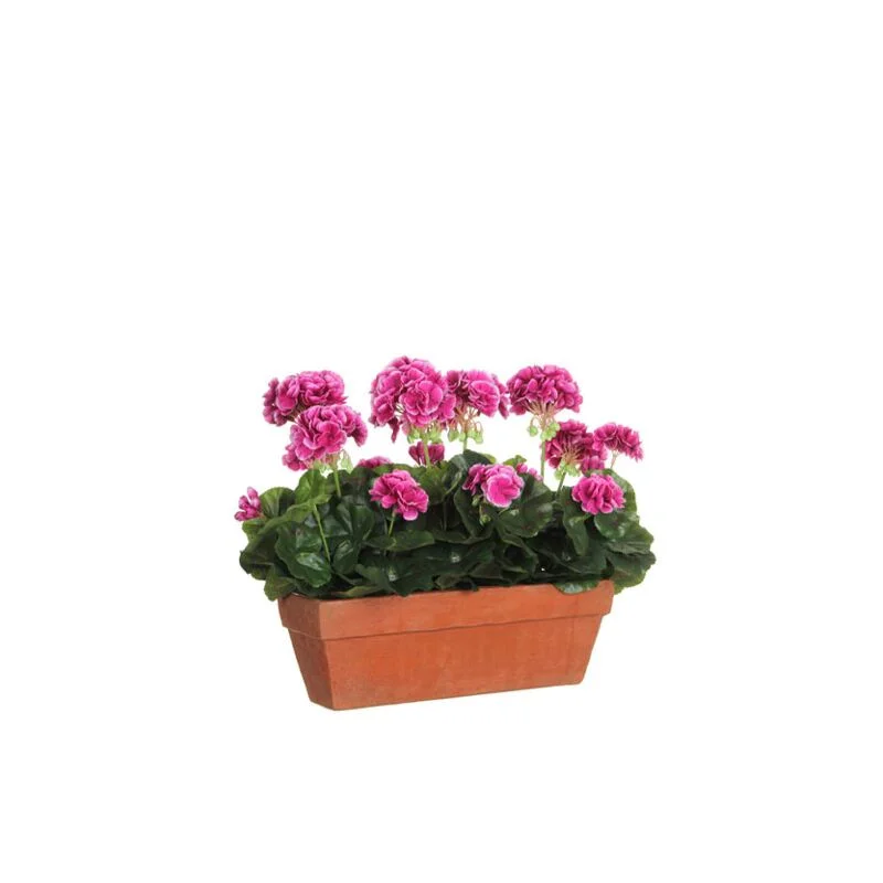 gartencenterleurs-3555791