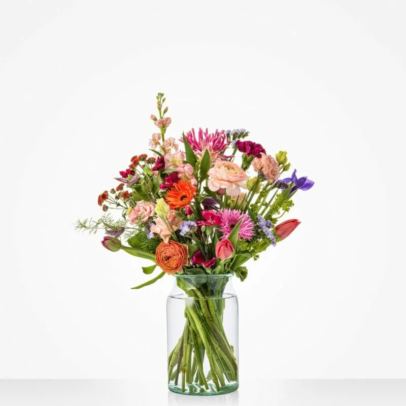 gartencenterleurs-3556566