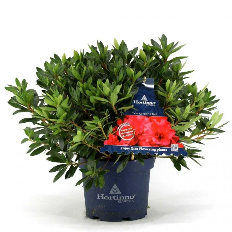 gartencenterleurs-3825785